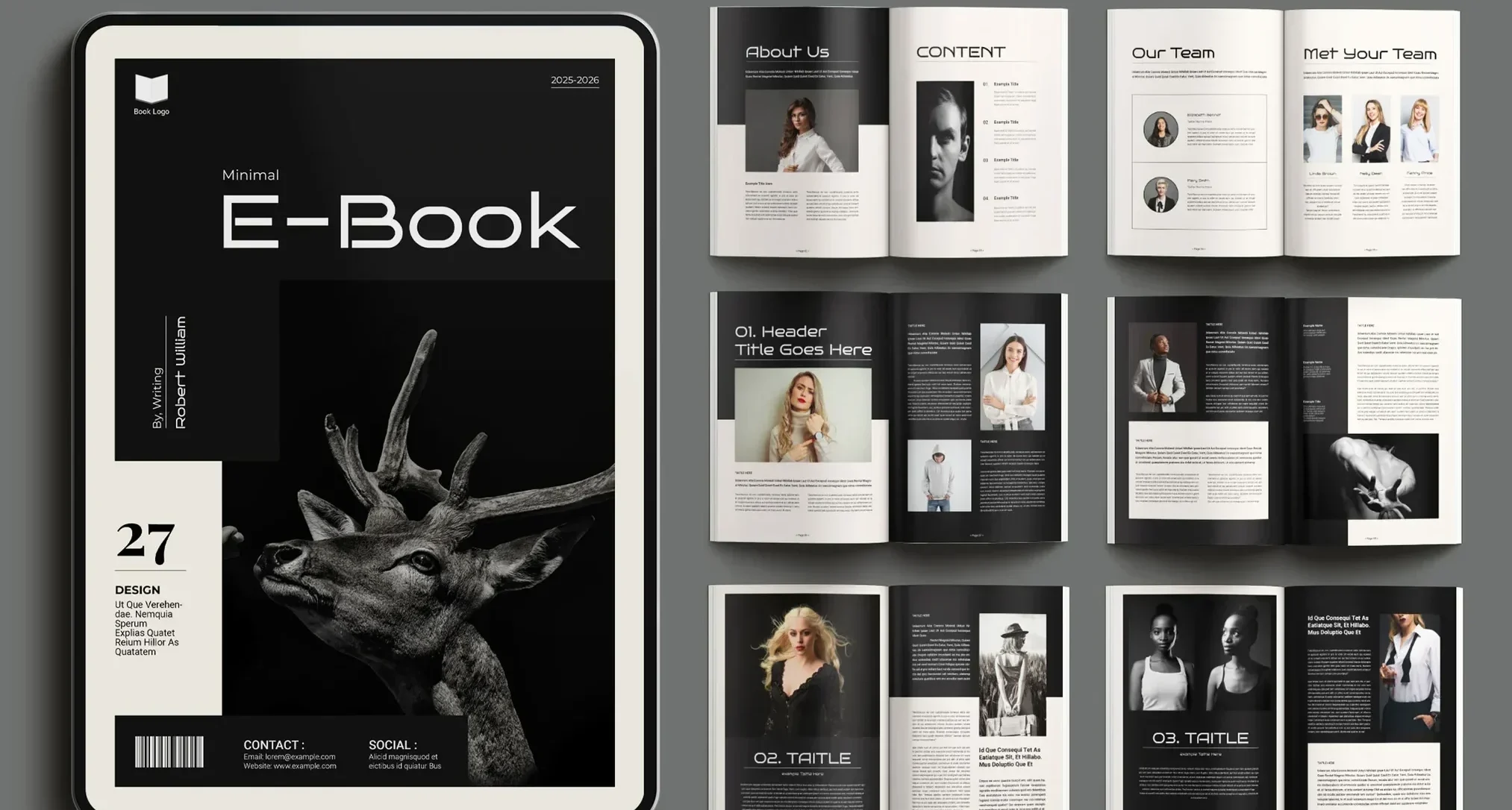 Professional E-Book Design & Formatting
